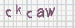 Image CAPTCHA pour prévenir l'utilisation abusive 